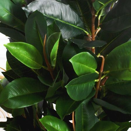 180/К/418-1(Пр)(F) Фикус Эластика Робуста искусственный h180см 180/К/418-1(Пр)(F) Фикус Эластика Робуста искусственный h180см