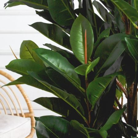 180/К/418-1(Пр)(F) Фикус Эластика Робуста искусственный h180см 180/К/418-1(Пр)(F) Фикус Эластика Робуста искусственный h180см