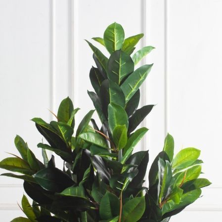 180/К/418-1(Пр)(F) Фикус Эластика Робуста искусственный h180см 180/К/418-1(Пр)(F) Фикус Эластика Робуста искусственный h180см