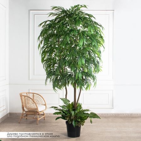 270/РН/219-2(з)(F) Лонгифолия искусственная h270см d140см с кустами в тех. кашпо 270/РН/219-2(з)(F) Лонгифолия искусственная h270см d140см с кустами в тех. кашпо