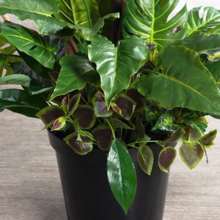 270/РН/219-2(з)(F) Лонгифолия искусственная h270см d140см с кустами в тех. кашпо 270/РН/219-2(з)(F) Лонгифолия искусственная h270см d140см с кустами в тех. кашпо