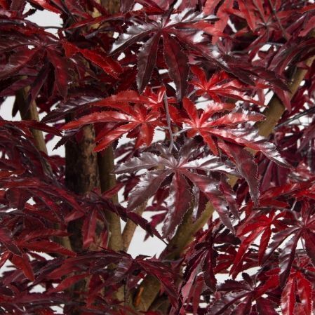 280/РН/400(з)(F) Клен искусственный бордовый h280 d190*130см, латекс 280/РН/400(з)(F) Клен искусственный бордовый h280 d190*130см, латекс