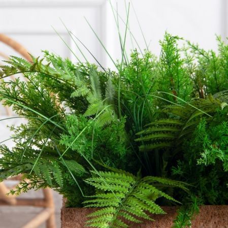 К569(з)(F) Композиция искусственная с папоротником и туей в кок.боксе 50х15хh15 К569(з)(F) Композиция искусственная с папоротником и туей в кок.боксе 50х15хh15