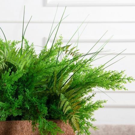 К569(з)(F) Композиция искусственная с папоротником и туей в кок.боксе 50х15хh15 К569(з)(F) Композиция искусственная с папоротником и туей в кок.боксе 50х15хh15