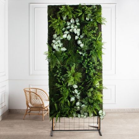 ФТМ86/1(з)(F) Фитомодуль с бегонией и папоротниками 228х109см (S=2,5кв.м.)