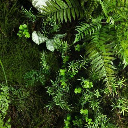 ФТМ86/1(з)(F) Фитомодуль с бегонией и папоротниками 228х109см (S=2,5кв.м.)