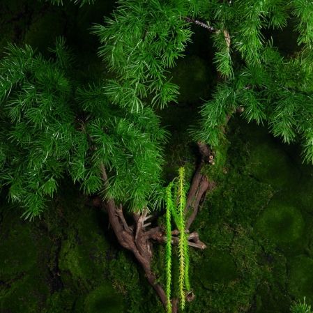 ФТС203(Пр)(F) Фитостена,  за 1кв.м