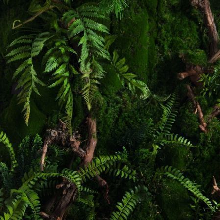 ФТС203(Пр)(F) Фитостена,  за 1кв.м