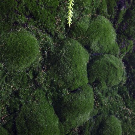 ФТС203(Пр)(F) Фитостена,  за 1кв.м