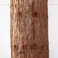500Разб/ТР/222-1(F) Дуб искусственный разборный h500см d500см 500Разб/ТР/222-1(F) Дуб искусственный разборный h500см d500см
