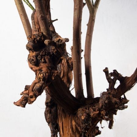 210/ОС/РН/АСС/465(з)(F) Оливковое дерево искусственное с плодами h210см