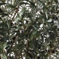 210/ОС/РН/АСС/465(з)(F) Оливковое дерево искусственное с плодами h210см