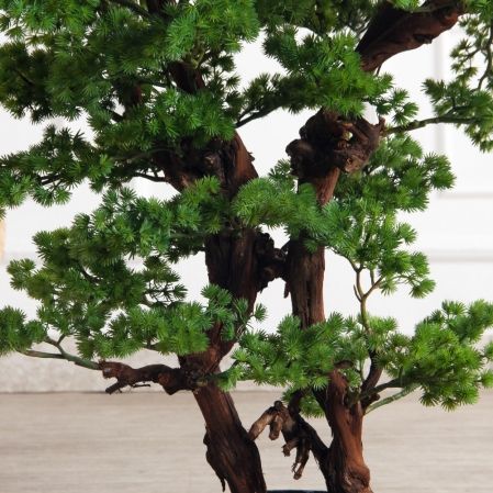 БС110/ОС/427(Пр)(F) Бонсай искусственный Сосна h110см БС110/ОС/427(Пр)(F) Бонсай искусственный Сосна h110см