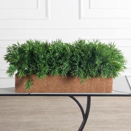 060/К/512-3(з)(F) Погонатерум искусственный h40см  в кок.боксе 78х18х15см