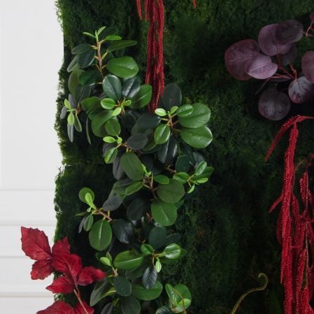 ФТС204(Пр)(F) Фитостена,  за 1кв.м