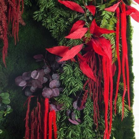 ФТС204(Пр)(F) Фитостена,  за 1кв.м