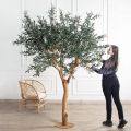 250/1Ст/ВИТ/465(Пр)(F) Оливковое дерево искусственное h250см на основании