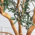 250/1Ст/ВИТ/465(Пр)(F) Оливковое дерево искусственное h250см на основании