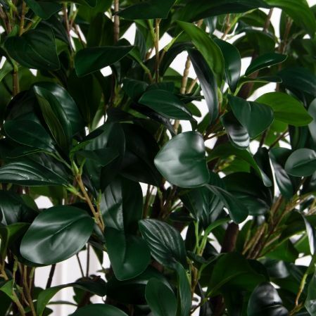 170/РН/64-1(з)(F) Рускус искусственный куст h170см