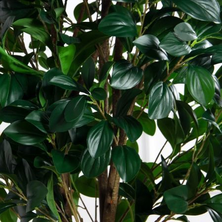 170/РН/64-1(з)(F) Рускус искусственный куст h170см