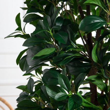 170/РН/64-1(з)(F) Рускус искусственный куст h170см