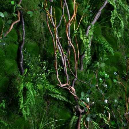 ФТС205(Пр)(F) Фитостена,  за 1кв.м