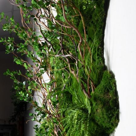 ФТС205(Пр)(F) Фитостена,  за 1кв.м