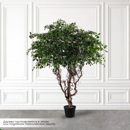 240/ДД/5344(з)(F) Шеффлера искусственная h240см d180(латекс) 240/ДД/5344(з)(F) Шеффлера искусственная h240см d180(латекс)