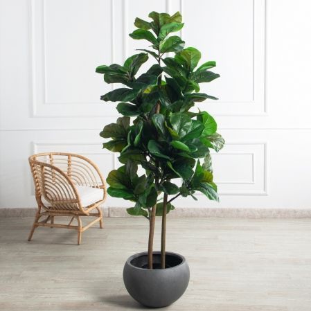 180/РН/631(з)(Пр)(F) Фикус искусственный Лирата h180см 180/РН/631(з)(Пр)(F) Фикус искусственный Лирата h180см