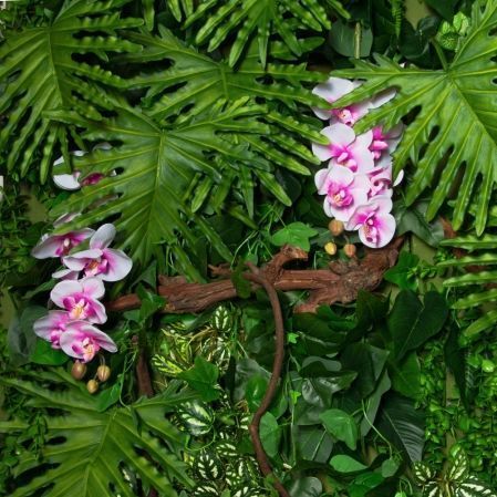 ФТМ102/4(з)(F) Фитомодуль 447х237см (S10,13кв.м.)