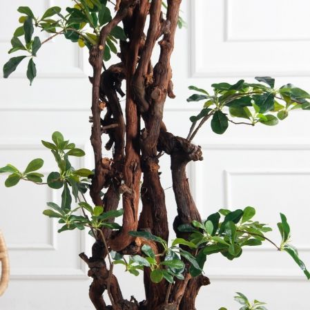 260/ОС/84(з)(F) Шеффлера искусственная h260см d130см (латекс)