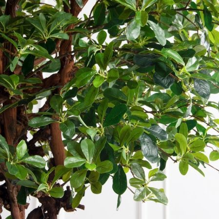 260/ОС/84(з)(F) Шеффлера искусственная h260см d130см (латекс)