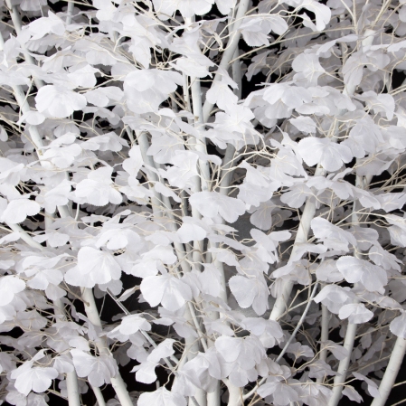 300/РН/176(з)(F) Гинкго искусственное h300см, d200см, белое