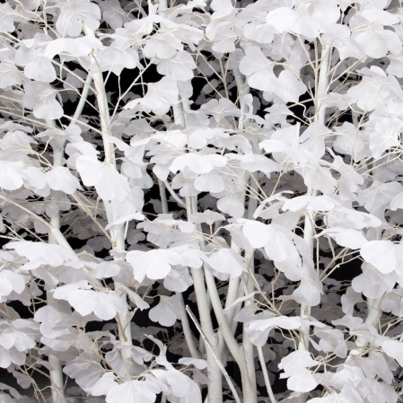 300/РН/176(з)(F) Гинкго искусственное h300см, d200см, белое