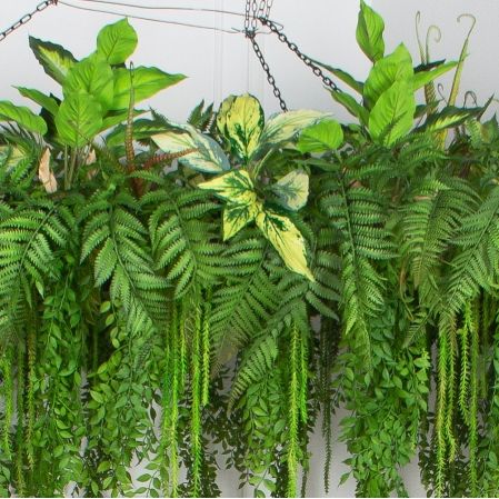 КЗ/40-11(з)(F) Композиция искусственная подвесная с калатеей d160см свес 60см КЗ/40-11(з)(F) Композиция искусственная подвесная с калатеей d160см свес 60см