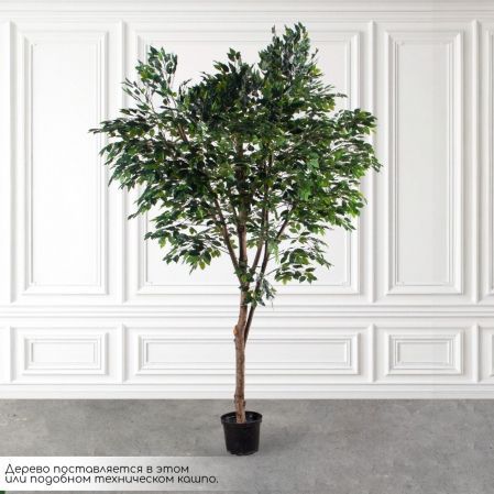 300/РН/34(Пр)(F) Фикус искусственный h300см (латекс) 300/РН/34(Пр)(F) Фикус искусственный h300см (латекс)