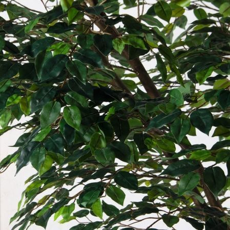 300/РН/34(Пр)(F) Фикус искусственный h300см (латекс) 300/РН/34(Пр)(F) Фикус искусственный h300см (латекс)