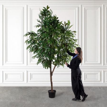 300/РН/220(Пр)(F) Манго искусственное h300см (латекс) 300/РН/220(Пр)(F) Манго искусственное h300см (латекс)