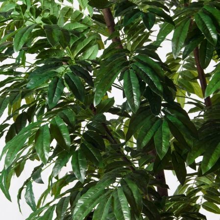 300/РН/220(Пр)(F) Манго искусственное h300см (латекс)