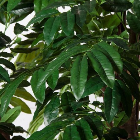 300/РН/220(Пр)(F) Манго искусственное h300см (латекс)