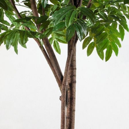 300/РН/220(Пр)(F) Манго искусственное h300см (латекс)