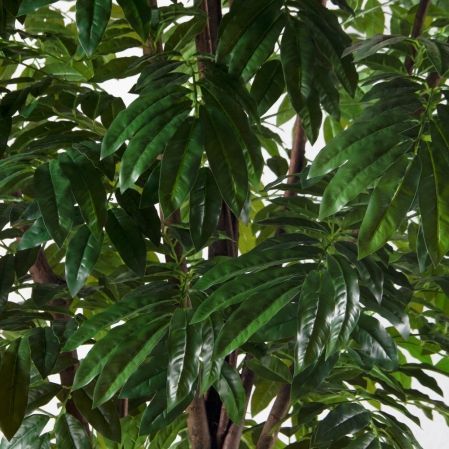 300/РН/220(Пр)(F) Манго искусственное h300см (латекс)