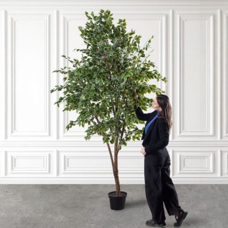 300/РН/17(Пр)(F) Фикус Бенджамина искусственный h300см (латекс) 300/РН/17(Пр)(F) Фикус Бенджамина искусственный h300см (латекс)