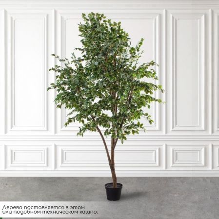 300/РН/17(Пр)(F) Фикус Бенджамина искусственный h300см (латекс) 300/РН/17(Пр)(F) Фикус Бенджамина искусственный h300см (латекс)