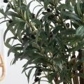 110/РН/465-1(з)(F) Оливковое дерево искусственное Нэйч с плодами h110см 110/РН/465-1(з)(F) Оливковое дерево искусственное Нэйч с плодами h110см