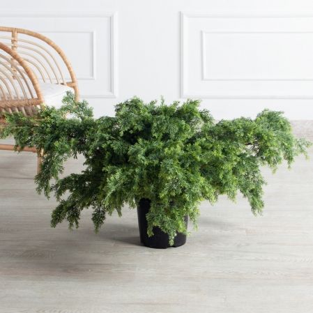 Т050/655(Пр)(F) Можжевельник искусственный куст h50см