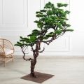 БЛ180/Д3/30(з)(УУ)(F) Бонсай искусственный h180-104см на основании БЛ180/Д3/30(з)(УУ)(F) Бонсай искусственный h180-104см на основании