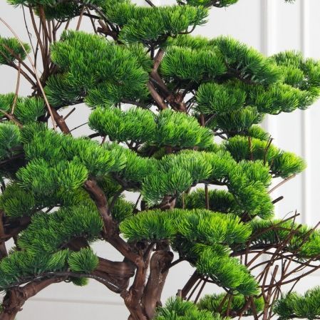 БЛ180/Д3/30(з)(УУ)(F) Бонсай искусственный h180-104см на основании БЛ180/Д3/30(з)(УУ)(F) Бонсай искусственный h180-104см на основании