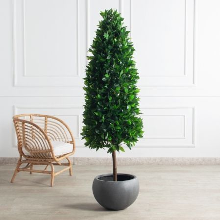 180/ДК/ШТ/188(Пр)(F) Лавр искусственный конус h180см (латекс)