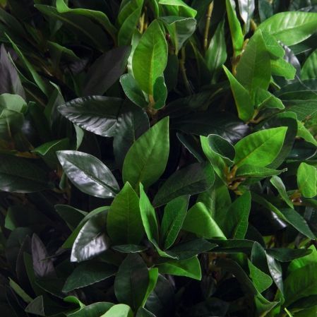 150/ДК/ШТ/188(Пр)(F) Лавр искусственный конус h150см (латекс)